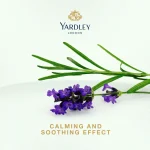 کرم موی اسطوخودوس یاردلی|Yardley London ENGLISH LAVENDER HAIR CREAM 150g - Image 3